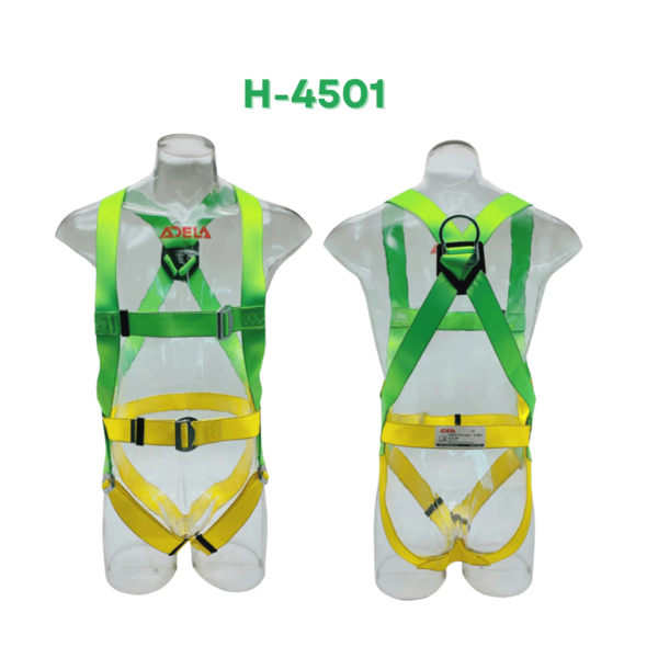 Bộ đai toàn thân khóa chữ D Adela HS-4501