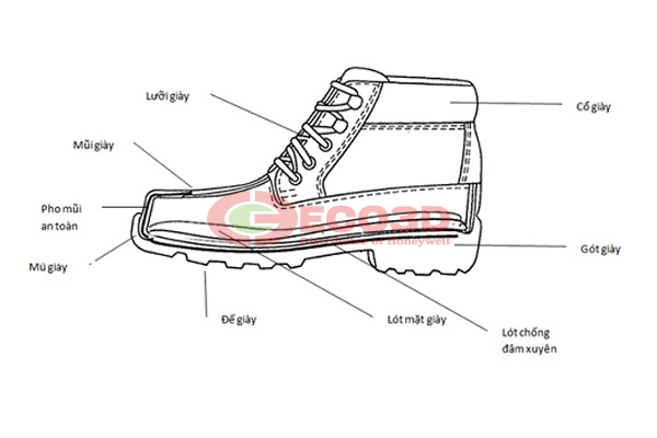 cấu tạo, tính năng giày bảo hộ